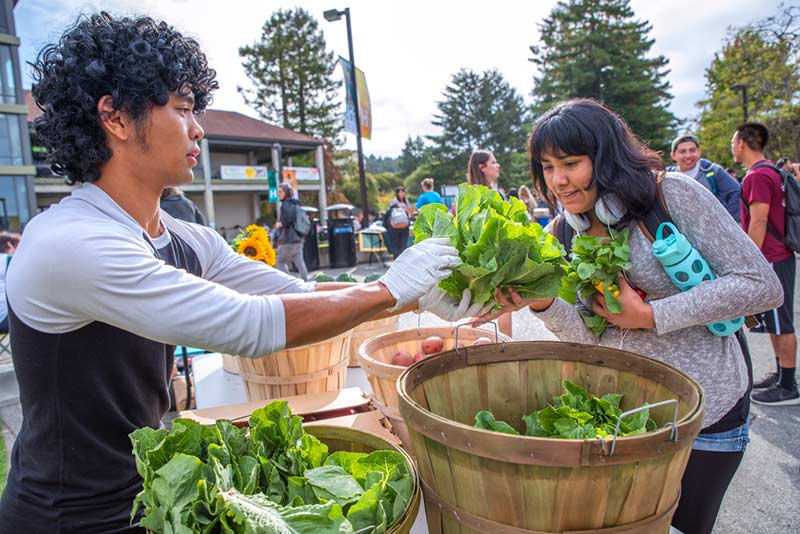 Students picking up free produce from the farm stand on campus.