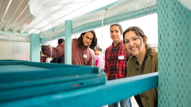 Three students smiling looking through a wooden structure painted blue.