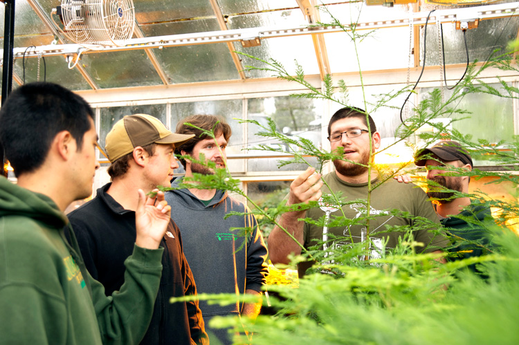 Students in Green House
