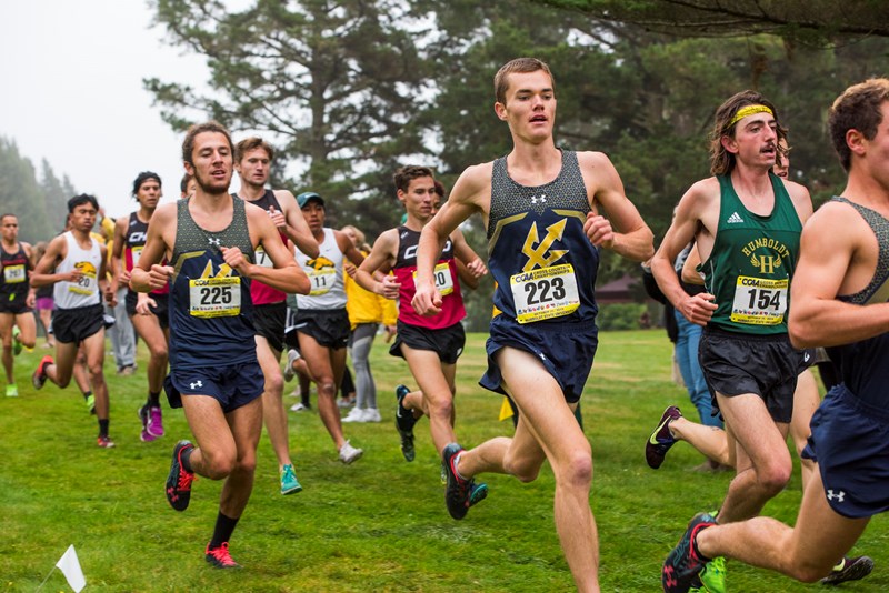 Runners from many different schools in a cross country race on grass.