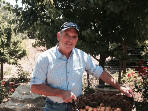 Brad L. Smith with a basket of apricots from his garden. Brad recently established a scholarship endowment for the College of Natural Resources & Sciences