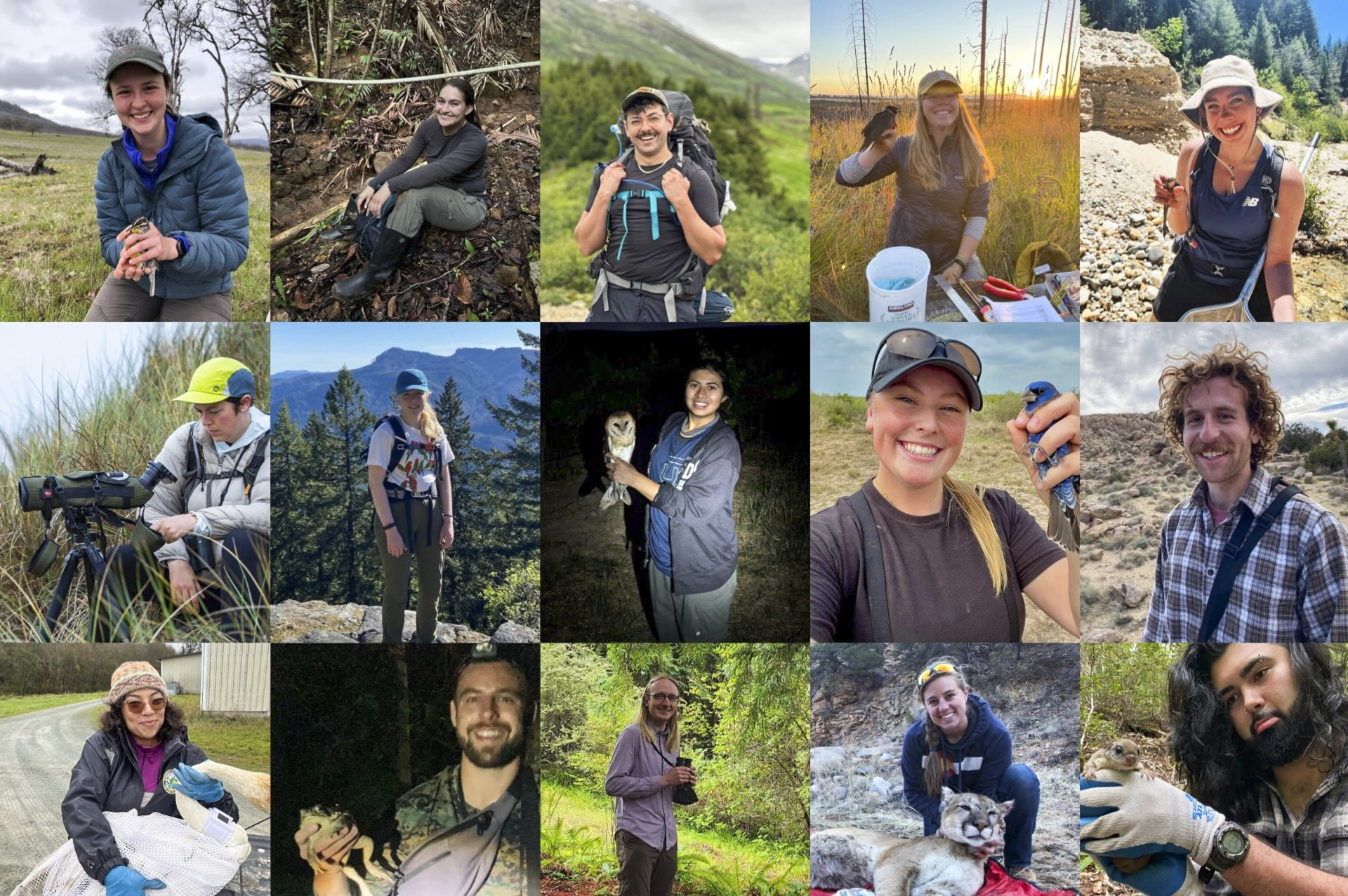 A photo collage of 15 Wildlife Graduate students.