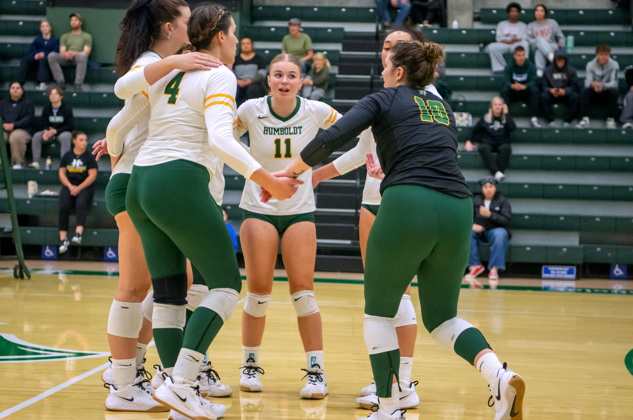 Four women's volleyball players in a huddle on the court.